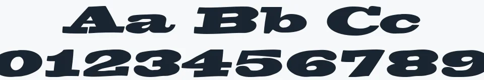 Rzeczywista próbka kroju BigSwingingSlabS — Aa Bb Cc 0123456789