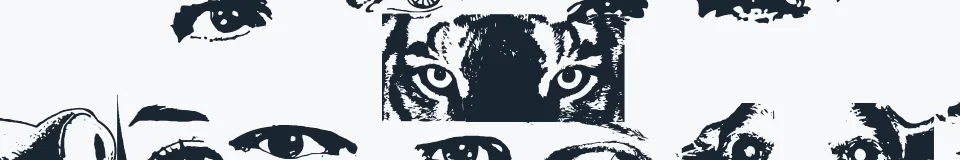 Rzeczywista próbka kroju Eye Spy — Aa Bb Cc 0123456789
