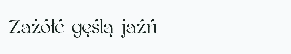 Rzeczywisty podgląd fontu ArchitekT ;d – Zażółć gęślą jaźń