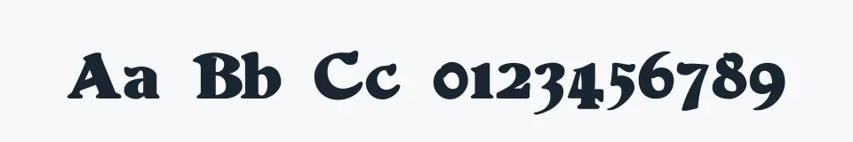 Rzeczywista próbka kroju Duvall — Aa Bb Cc 0123456789