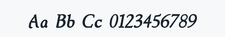 Rzeczywista próbka kroju NewStyleItalic — Aa Bb Cc 0123456789