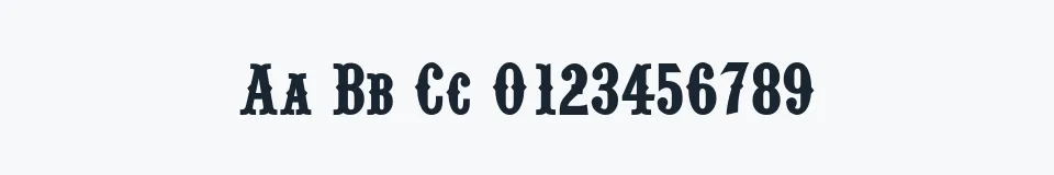 Rzeczywista próbka kroju Pointedly Mad — Aa Bb Cc 0123456789