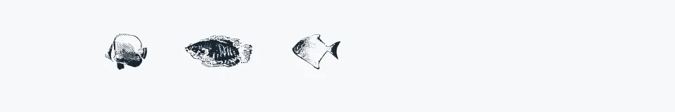 Rzeczywista próbka kroju FishyPrint AOE — Aa Bb Cc 0123456789