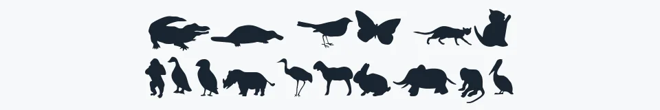 Rzeczywista próbka kroju Animals — Aa Bb Cc 0123456789