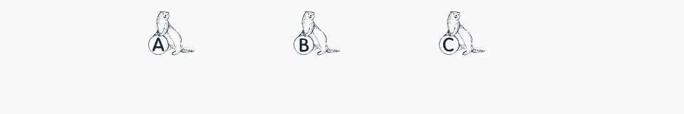 Rzeczywista próbka kroju KR A Ferret for Angel — Aa Bb Cc 0123456789