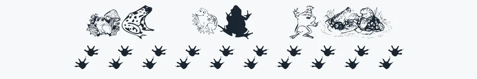 Rzeczywista próbka kroju KR Frogs for Jennifer — Aa Bb Cc 0123456789