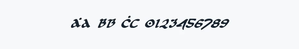 Rzeczywista próbka kroju First Order Italic — Aa Bb Cc 0123456789