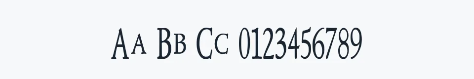 Rzeczywista próbka kroju NewStyleTitlingCondensed — Aa Bb Cc 0123456789