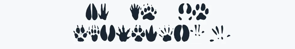 Podgląd czcionki AnimalTracks