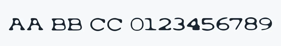 Rzeczywista próbka kroju Typewrong — Aa Bb Cc 0123456789